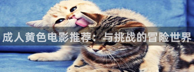 飘零影院电影电视剧免费观看：成人黄色电影推荐：与挑战的冒险世界