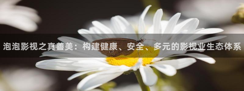 飘零影院免费观看：泡泡影视之真善美：构建健康、安全、多元的影视业生态体系