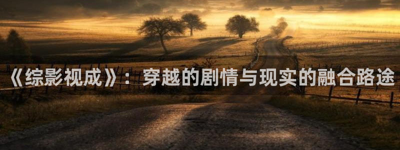 秋霞飘零影院：《综影视成》：穿越的剧情与现实的融合路途