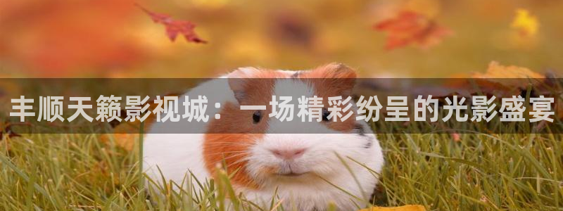 飘零影院伦理片：丰顺天籁影视城：一场精彩纷呈的光影盛宴