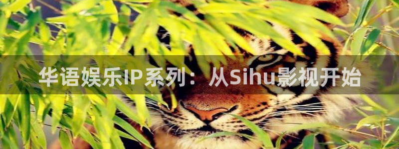飘零影视：华语娱乐IP系列：从Sihu影视开始