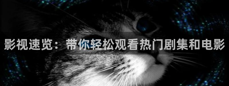 飘零影院在线电影：影视速览：带你轻松观看热门剧集和电影