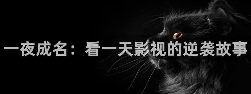 飘零影院在线观看免费播放电视剧：一夜成名：看一天影视的逆袭故事