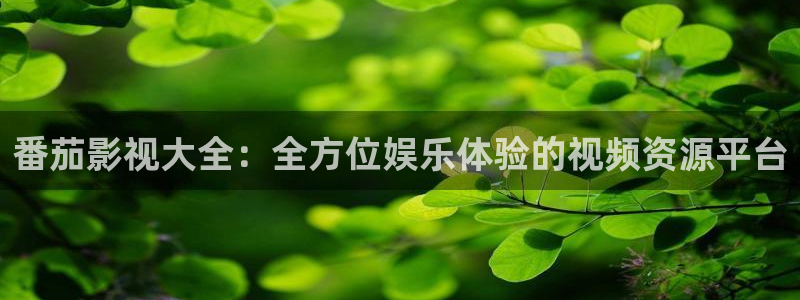 飘零电影韩国免费观看：番茄影视大全：全方位娱乐体验的视频资源平台