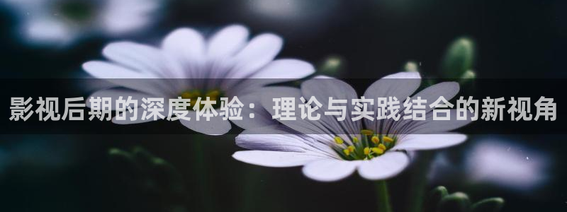 飘零影院最新电影：影视后期的深度体验：理论与实践结合的新视角