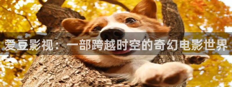 飘零午夜电影网
